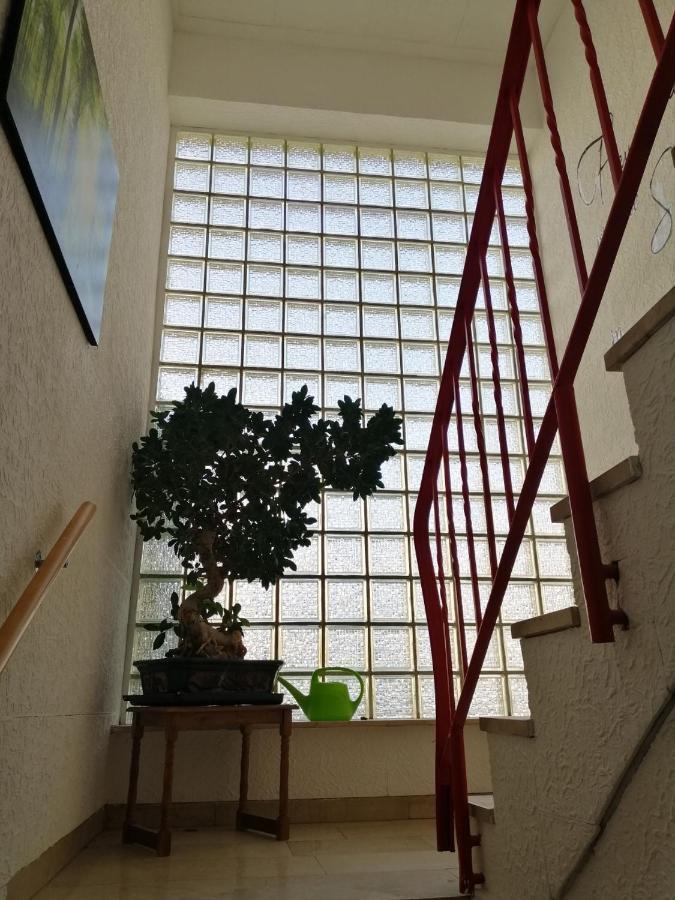 לנדאו אין דר פאלץ Ferienhaus Elwetritsche In Landau/Pfalz מראה חיצוני תמונה